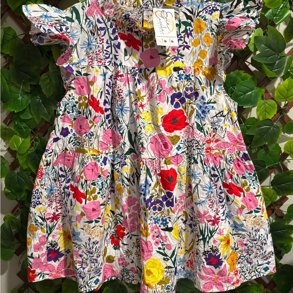 Evie Cecile Women’s Top